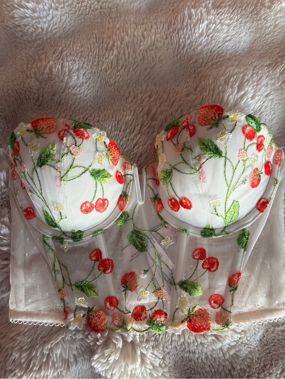 Victoria's Secret White Mesh Bustier Bra with Red Cherry Embroidery